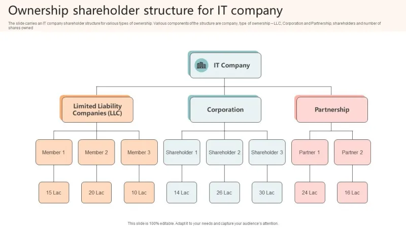 Unmasking the Invisible Owner: A Researcher's Systematic Guide to Piercing Shell Company Veils